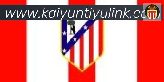 ky开云合作伙伴
